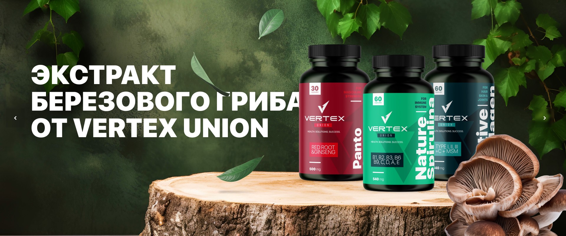 https://api.vertexunions.com/storage/shop-banner/1383/conversions/P4DDqbxF2ZskJDAis6wPZQVrdr2GgR8Jk1rNo0pR-preview.jpg