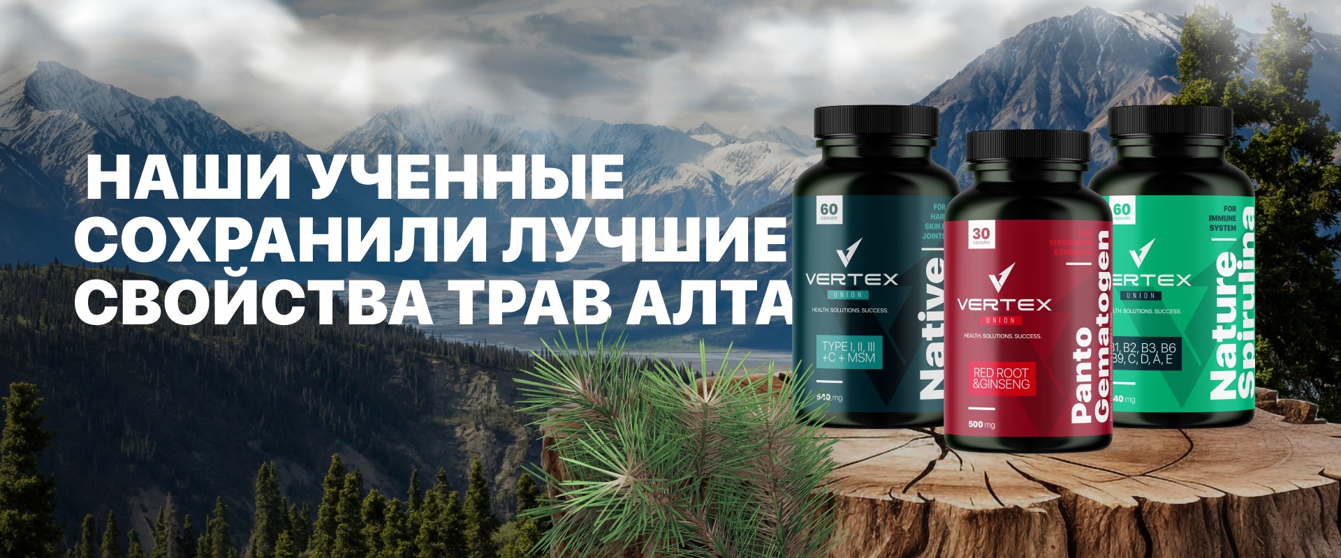 https://api.vertexunions.com/storage/shop-banner/18/conversions/argriAsytgIwaX9AMe0izKFDFvuz3CNhIqEeooHs-preview.jpg